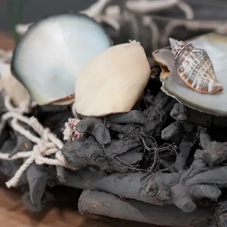 50139 Atlantis Apartment Carolinensiel